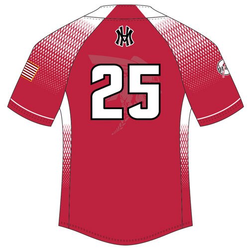 Rawlings ARZ2B 2-Button Pullover Jersey