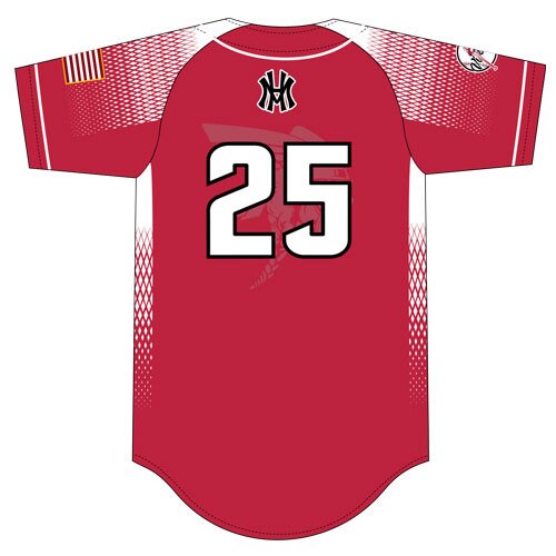 Rawlings ARZJ Full Button Front Jersey
