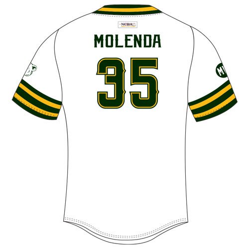 Rawlings ROAKFB Full Button Front Jersey