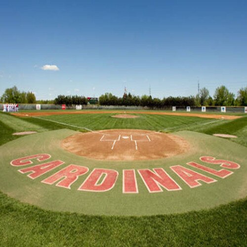 Artificial Turf Home Plate Halo for Baseball & Softball from On Deck Sports