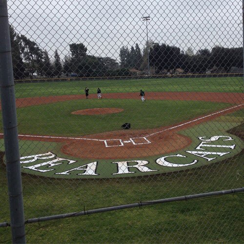 Artificial Turf 10' Home Plate Halo with Wings & Shock Pad