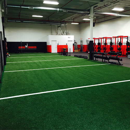 Agility Turf with Inlaid Yard Line Markers