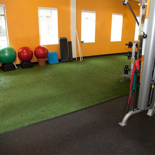 Sled Strip - 10' x 50'