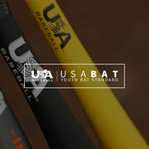 Easton S650 2-5/8 (-9) Bat