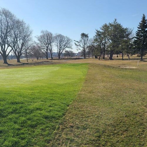 Golf Green Cover