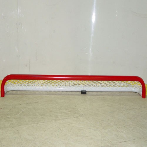 Pond Hockey Goal 72" x 6"