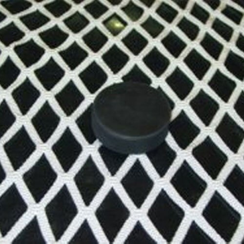 Junior Replacement Hockey Net