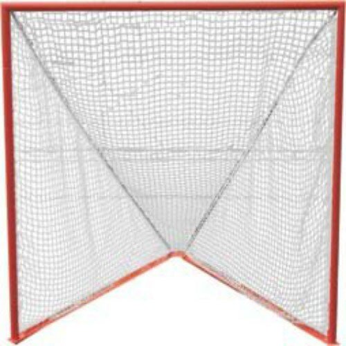 1 Pro Lacrosse Goal (netting included)
