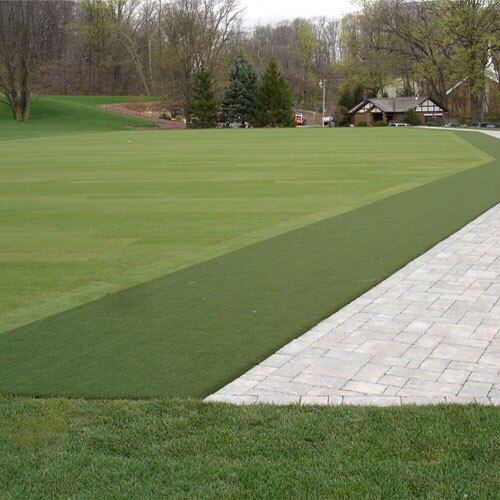 Golf Tee Line Turf