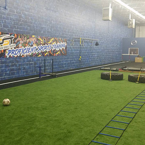 Arena Padded Artificial Turf - 12' Wide