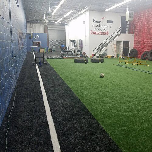 Arena Padded Artificial Turf - 12' Wide