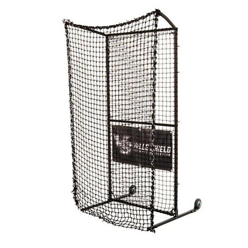 Baseball Protective Screen