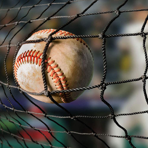 #42 Baseball Backstop Netting