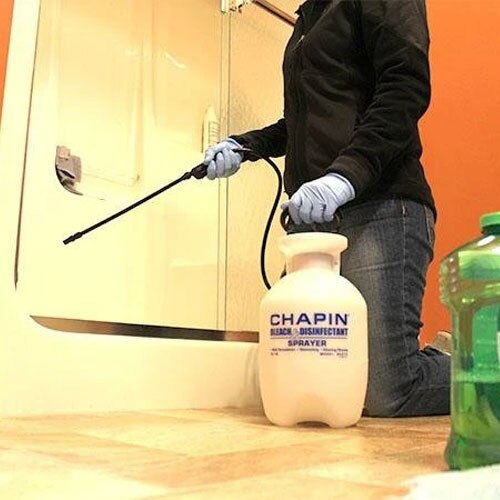 Chapin Disinfectant Sprayer - 1 Gallon