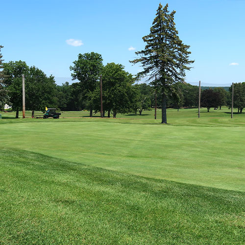 Golf Course Netting